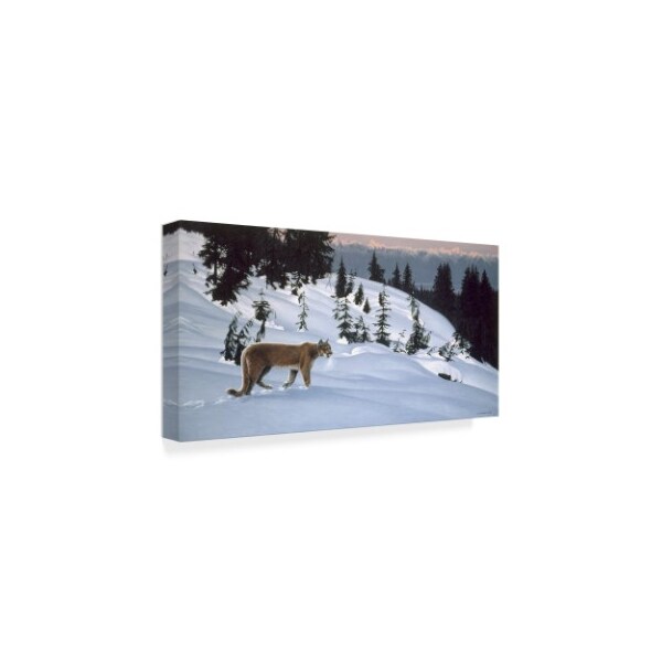 Ron Parker 'Cougar In Snow' Canvas Art,10x19